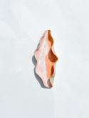 Średnia MUAS VULVA