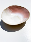 Salaterka WAVE PINK